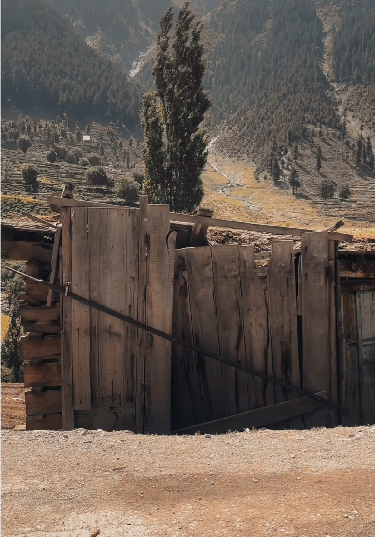 او صرف ستابه یمه 😏❤️‍🩹#zaryalkhan #poshtopoetry💔🥀💯 #for_you_page #viral_video_tiktok #CapCut 