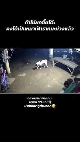 มาย้อนดูสรุปมันขี้นโต๊ะยังไง อย่าดราม่าท่ายกนะ ทุกคน !!! 🤣 #เกิดแต่กับกู #มีมตลก #น้ำท่วมสุโขทัย 