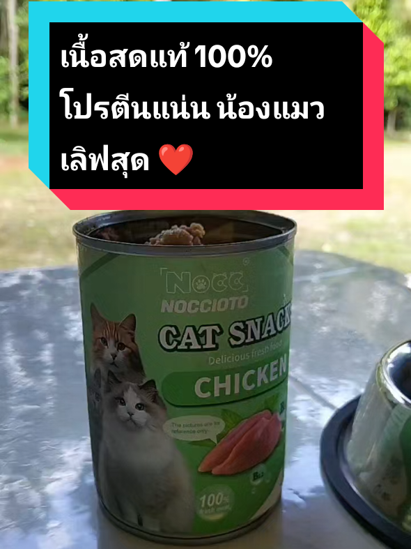หมดไวมาก! 😻 NOCCIOTO จาก Mika Pet Shop เข้ามาเติมสต็อกแล้ว รีบตุนก่อนหมดอีกรอบ! #อาหารแมว #ของดีน้องหมาแมว #Creatorเพ็ท #creatorหมาแมว #รีวิวหมาแมว 