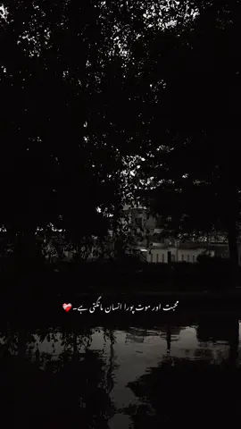 پھر یہ حیات تا حیات تھوڑی ہے۔❤️‍🩹 #fyp #foruyou #fyppppppppppppppppppppppp #viewsproblem #poetry 