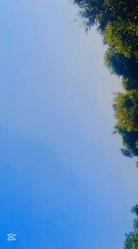 #🦁sharalipindaaala🚩 #foryou #viralvideo #tiktok @TikTok Bangladesh 