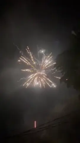 Dàn 49 tưng bừng trời#phaohoatet #tet2026🧧🧧 #dochoitet2026 