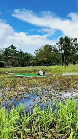 được tin e lấy chồng.