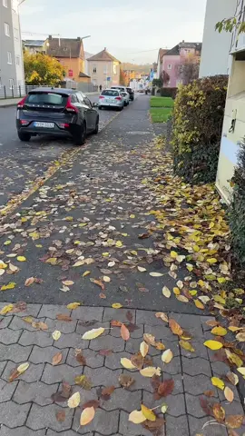 #عفرين_راجو_بلبل_شيه_جنديرس💚❤️💛 #🥺🥺🥺🥺 