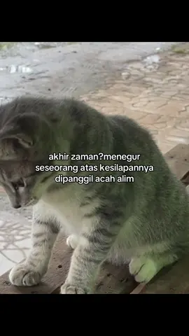 tk terima teguran tkpe janji saye dh tegur. #zxycba #4u #solat5waktujanganditinggal #quotes 