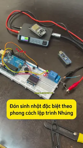 Đón sinh nhật theo cách của kỹ sư Nhúng