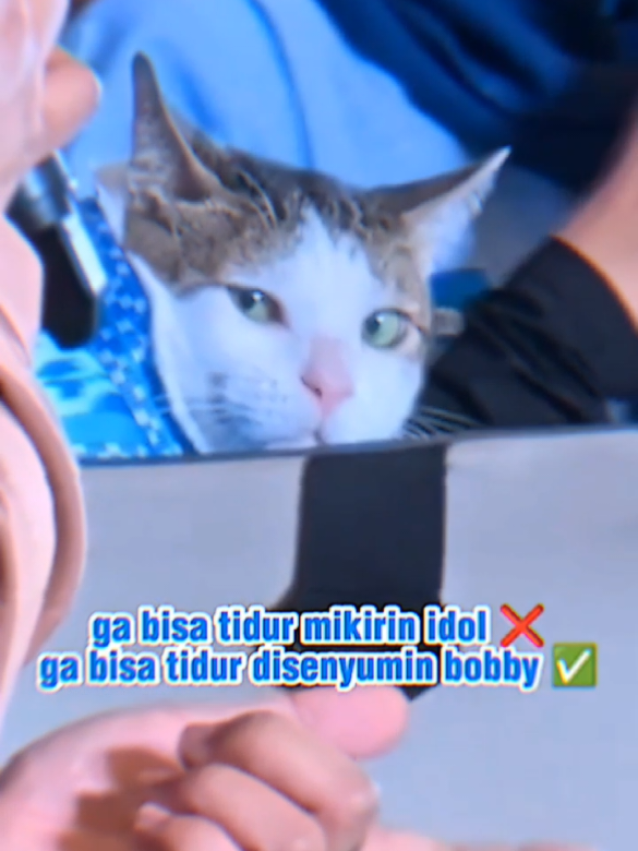 gantengnya oiii anak bapak,bau duitnya kenceng  pula 🥰🫰🫶 . . . #prabowo #bobbykertanegara  #fyppppppppppppppppppppppp #kucinglucu #fyp 