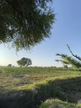 Account freeze ho gya hai🙂❤️‍🩹🚩#forming🌾 #forourpage #foryoupage #unfreezemyacount 