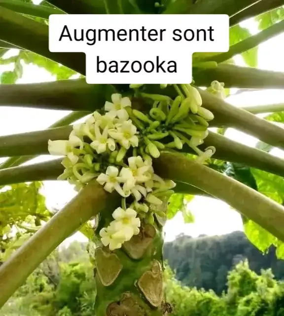 #france🇫🇷 #cotedivoire🇨🇮225 #almanya🇩🇪