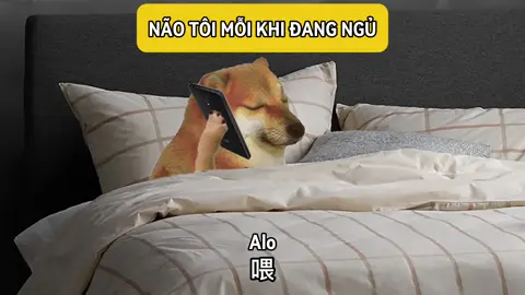 Loại này hết cứu #lianainao2025 #nghetiengtrung #LearnOnTikTok #hoctiengtrungcungcheems #luyennghetiengtrungquavideo 