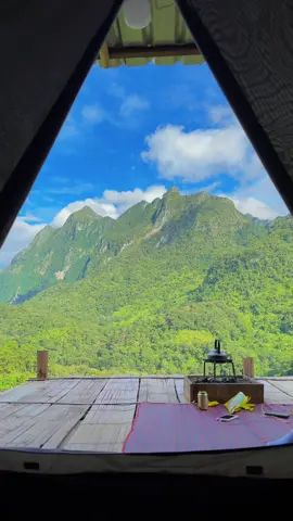 หนีทะเล มาหาเขา at ภูเพียงดาว โฮมสเตย์ วิวดอยหลวงเชียงดาว #ดอยหลวงเชียงดาว #เชียงใหม่ #เชียงดาว #fyp 