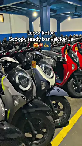 Promo scoopy Dp 300rb , langsung bawa pulang 😍 Bisa hub 08983404828 🛵 #cunmotor #dealerhondamadiun #dealermadiun #madiun #cunmotormadiun 