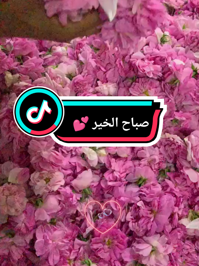 #صباح_الخير #اكسبلور #fyp #foryoupage❤️❤️ #viral 