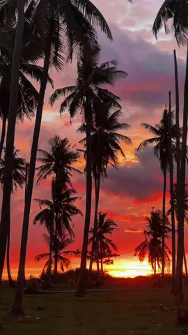 pantai lowita, pinrang, sulsel #senja #pinrang #fyp #sunset #pantai 