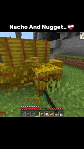 #minecraftmovie #maincraft #minecraftideas #minecraftclips #minecraftedit 