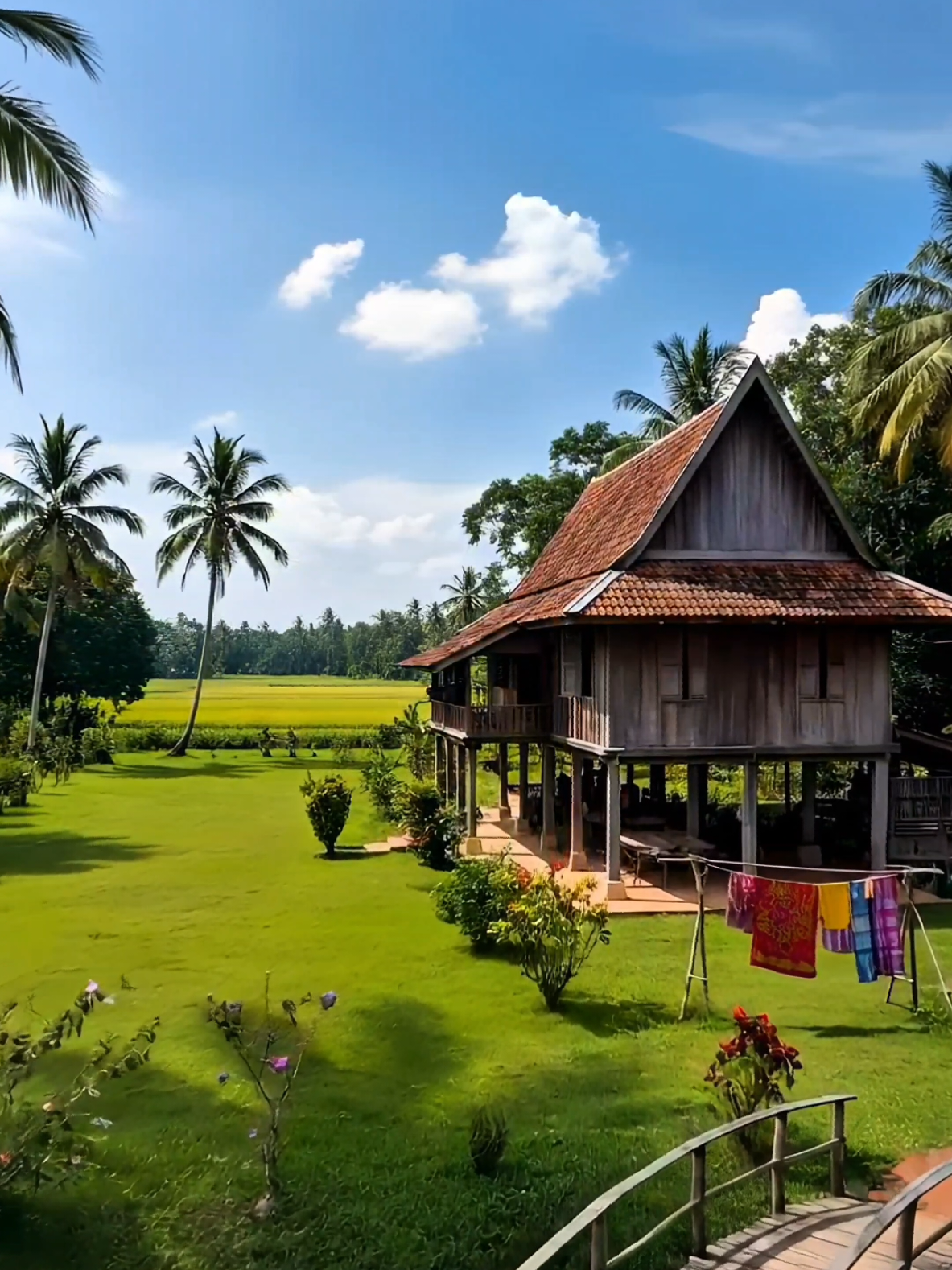 Bahagia yang Sebenarnya #kampungku #kampunghalaman #suasanakampung #sawahpadi 