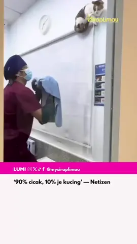 Mungkin kena cuba ruqyah hahah  🎥: hisham.buyong