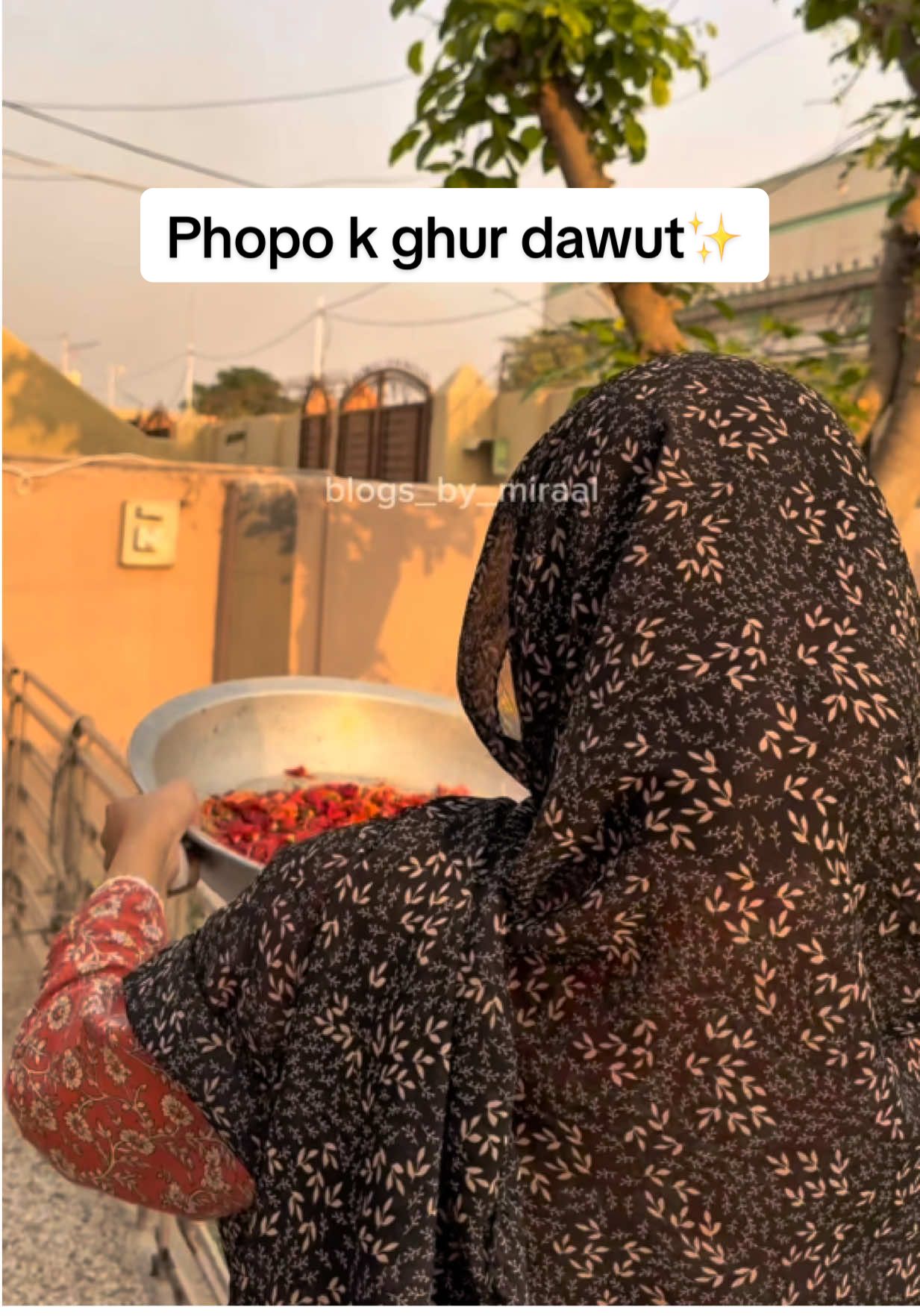 Bags from @Daily Wholesale  #minivlogseries #dailyvlogs #village #householditems #blogs_by_miraal 