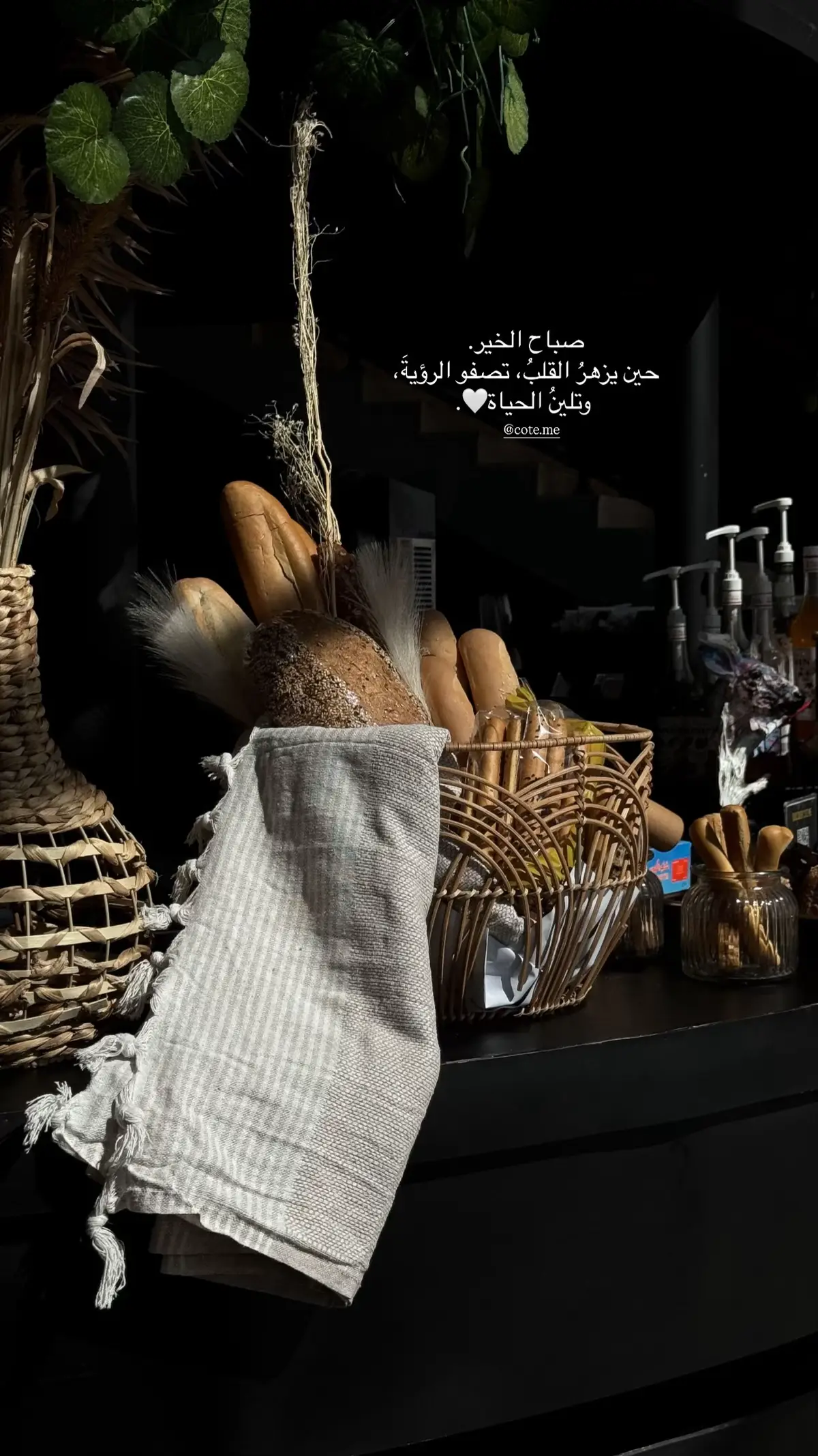 #اكسبلورexplore #اكسبلورexplore #ابها #ابها #foryoupag 