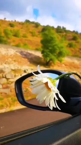 #cejour-là  @*~Nature ᥫ᭡ @*~Nature ᥫ᭡  @*~Nature ᥫ᭡ #nature 