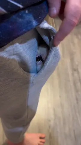 makan no.1 #hamster #lucu #pet #viral #fyp  sc. alena.bratsk86