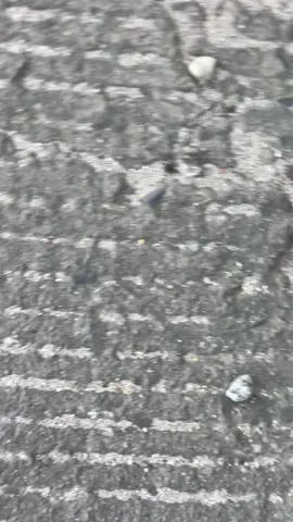 1 klip beat deluxe style kt #masukberanda #xybca #4u #stlyekt🤙 #fyp 