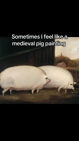 #meme #memes #pig #medieval #painting 