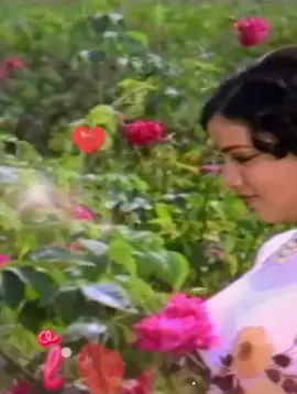 🥰🥰♥️♥️♥️♥️🥰🥰