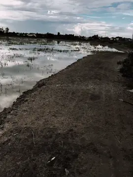 #xhhhhhhhhhhhhhhhhhhhhhhh #fyp #ae 