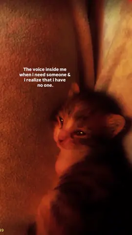 🥹#morerelatabletome 