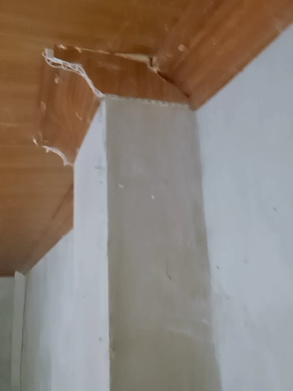 ở ĐỊNH HOÁ khong biết tác phẩm của cụ nào đây ạ  😂😂😂 #hagacodinhhoa #tháinguyên #địnhhoá #bắckạn #trầnnhựađịnhhoá 