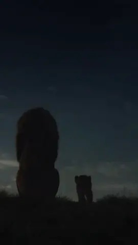 گومانلابردن لەسەر ئەو پرسیارەی کە دەڵێن: 