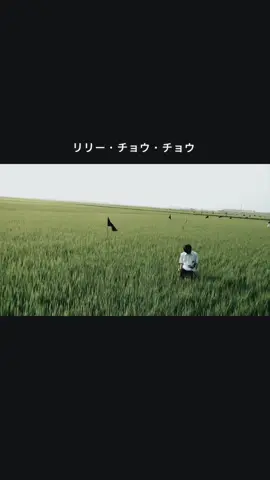 リリー・チョウ・チョウ #lilychouchou #japanese #japanmovie 