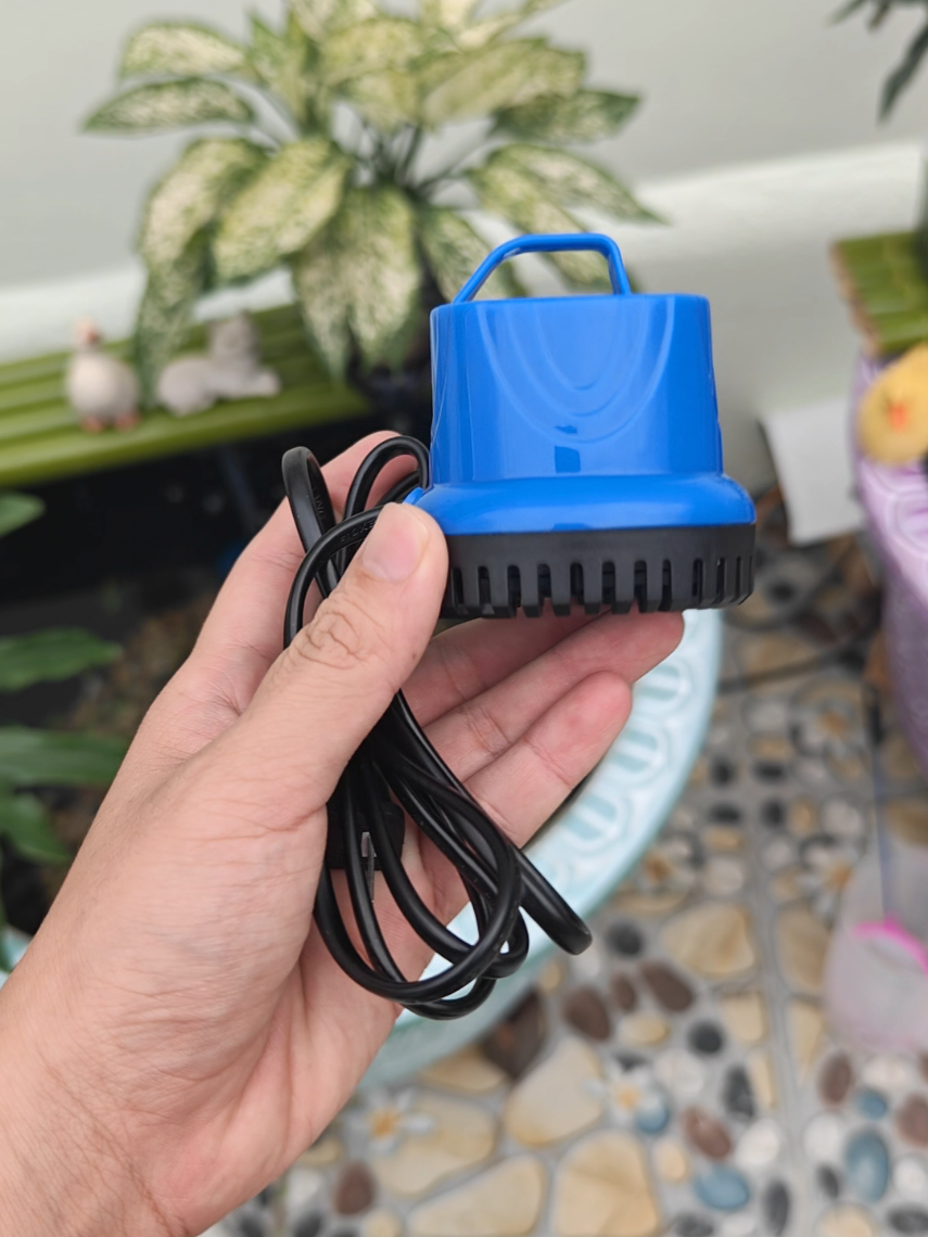 Máy bơm nhỏ dùng chơi thủy sinh đơn giản #maybom #bommini #maybomnuoc #maybommini 