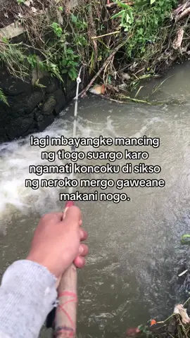 #fyp#microfishing #magelangpride  #mancingmania #xybca 