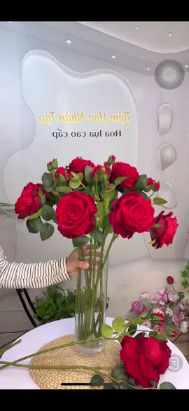 Hoa hồng#hoagia #hoahong 