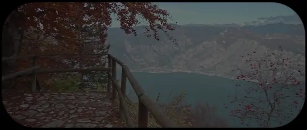 ومن يتق الله يجعل له مخرجا #قران #المنشاوي #سوره_الطلاق#quran #quran_alkarim 