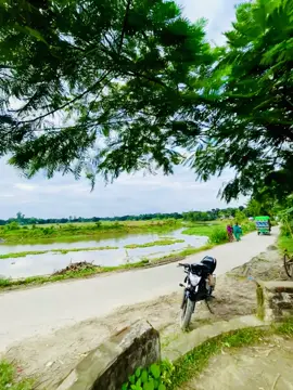 Trend song🥹🌷##vidoe##viral##follower##unfrezzmyaccount##foryoupage