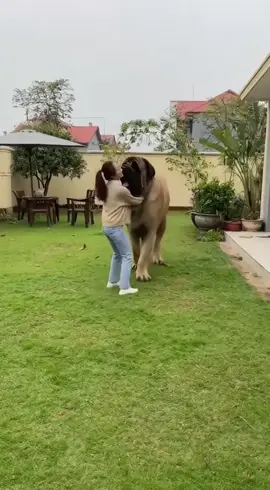 Cực dễ thương khi được lên hình #chongao 