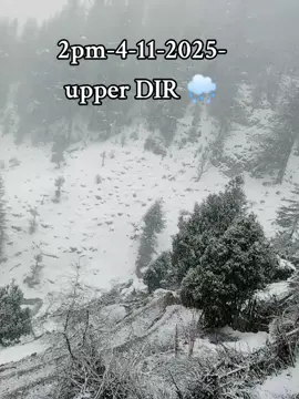 #viralvideo #DirjA #tiktok 