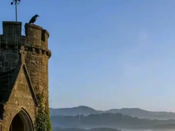 حساب بدون موسيقى ☘️🤍 #لاتنهرن_غريبا_حال_غربته #راحة_نفسيه🤲 #الريتش_في_زمة_الله😭😭🥀 #ɴᴏ_ᴍᴜꜱɪᴄ 