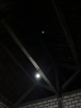 halah halah #liriklagu #lagujawa #teamtegel #trending #fyp 