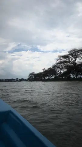 @Explorer's Peak Adventure 🌍 #explorerspeakadventure 