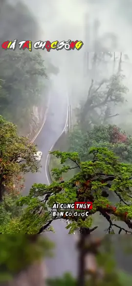Hãy làm đi và ngừng than thở #giatricuocsong #baihoccuocsong #truyencamhung #songtichcuc #songynghia 