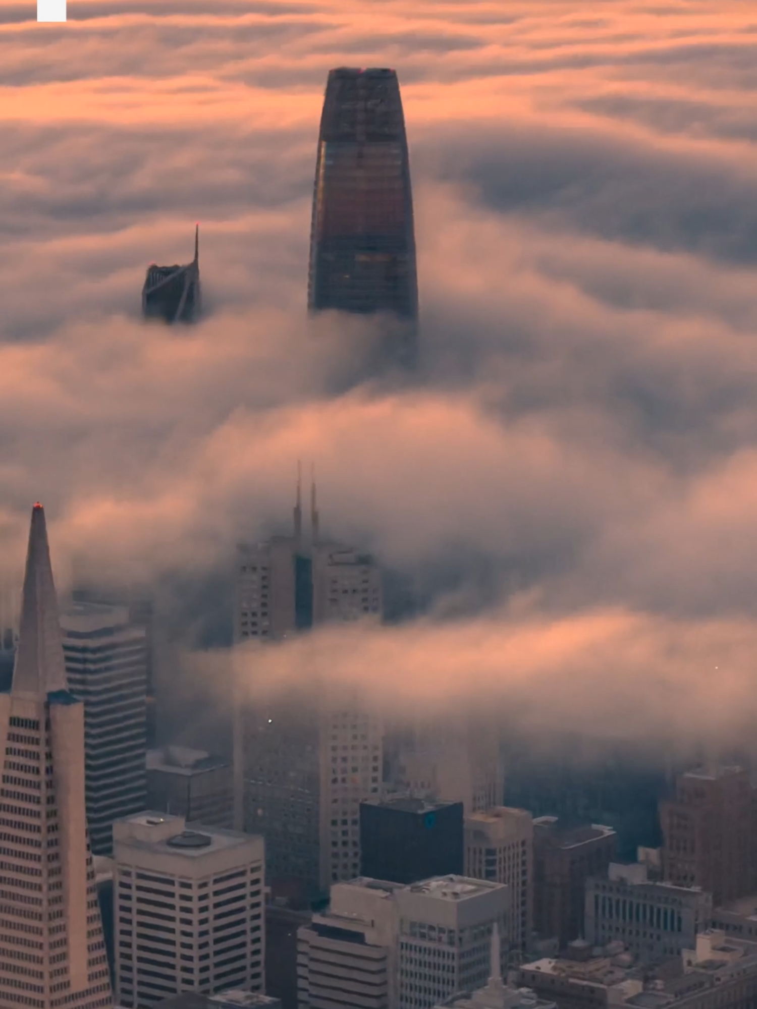 Aerial footage shows fog rolling into San Francisco’s Bay Area, with the tops of buildings and bridges peeking out from under the mist. #abcnews #news