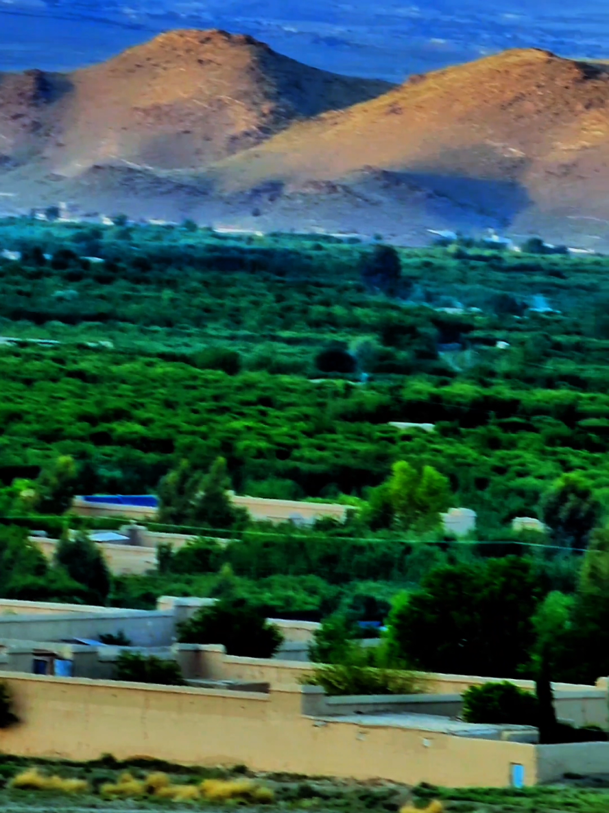 #fy #foryou #fypシ゚ #fyp #foryoupage @乂❤wΔZIɌχD💎ღ @🦋🥀SmarT_BoY.786🥀🦋 @Tariq khan @🍷۔ HAZRAT ALi❤️‍🔥 @Asif_khan_official02 @Wazir Zalmi12 @ÑØØRSÂLÂM SK🫡 @Green waziristan @Dawoodkaka0786 @Imran khan lover 143 @Bakht Wazir861 