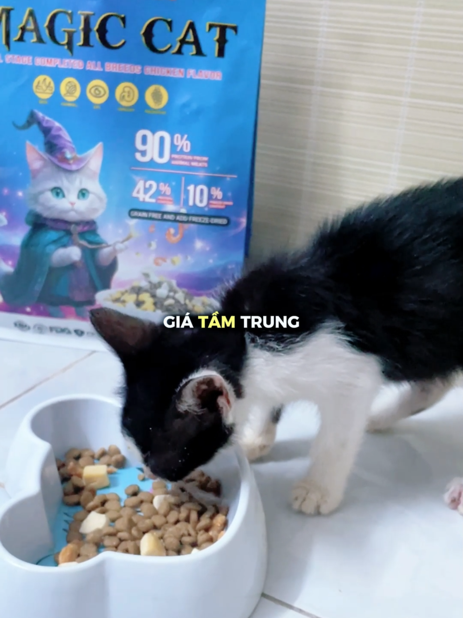 Boss mê ngay từ miếng đầu tiên với Magic Cat, chứa 90% protein từ gà, cá và bò cùng topping thơm nức, kích thích vị giác. Không chỉ ngon miệng, sản phẩm còn bổ sung dầu cá và rau củ quả tự nhiên, giúp da lông mềm mượt, óng ả, hỗ trợ tiêu hóa và hệ tiết niệu khỏe mạnh. #sieuthipetyeu #petyeu #hatchomeo #magiccat