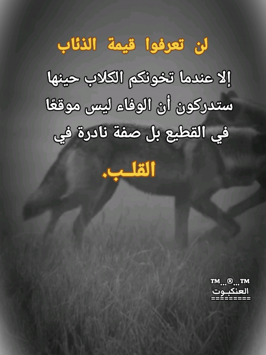 #creatorsearchinsights 