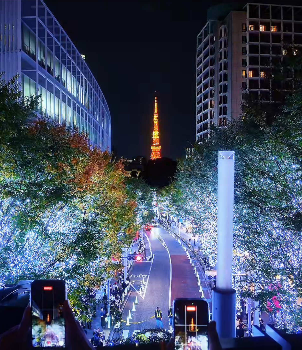 今日から開催🗼いちどは行きたい東京のイルミネーション🎄✨ 【けやき坂イルミネーション2025】 場所📍六本木けやき坂通り （東京都港区六本木6-10） 最寄駅🚉六本木駅（徒歩6分） 期間🗓️11月4日~12月25日 時間⏰17:00~23:00 【Roppongi Hills Christmas 2025】 Location📍Roppongi Keyakizaka Street (6-10 Roppongi, Minato-ku, Tokyo) Nearest station🚉Roppongi Station (6 minutes on foot) Period🗓️November 4th to December 25th Time⏰17:00~23:00 #けやき坂イルミネーション #点灯式 #クリスマス #christmas #fyp 