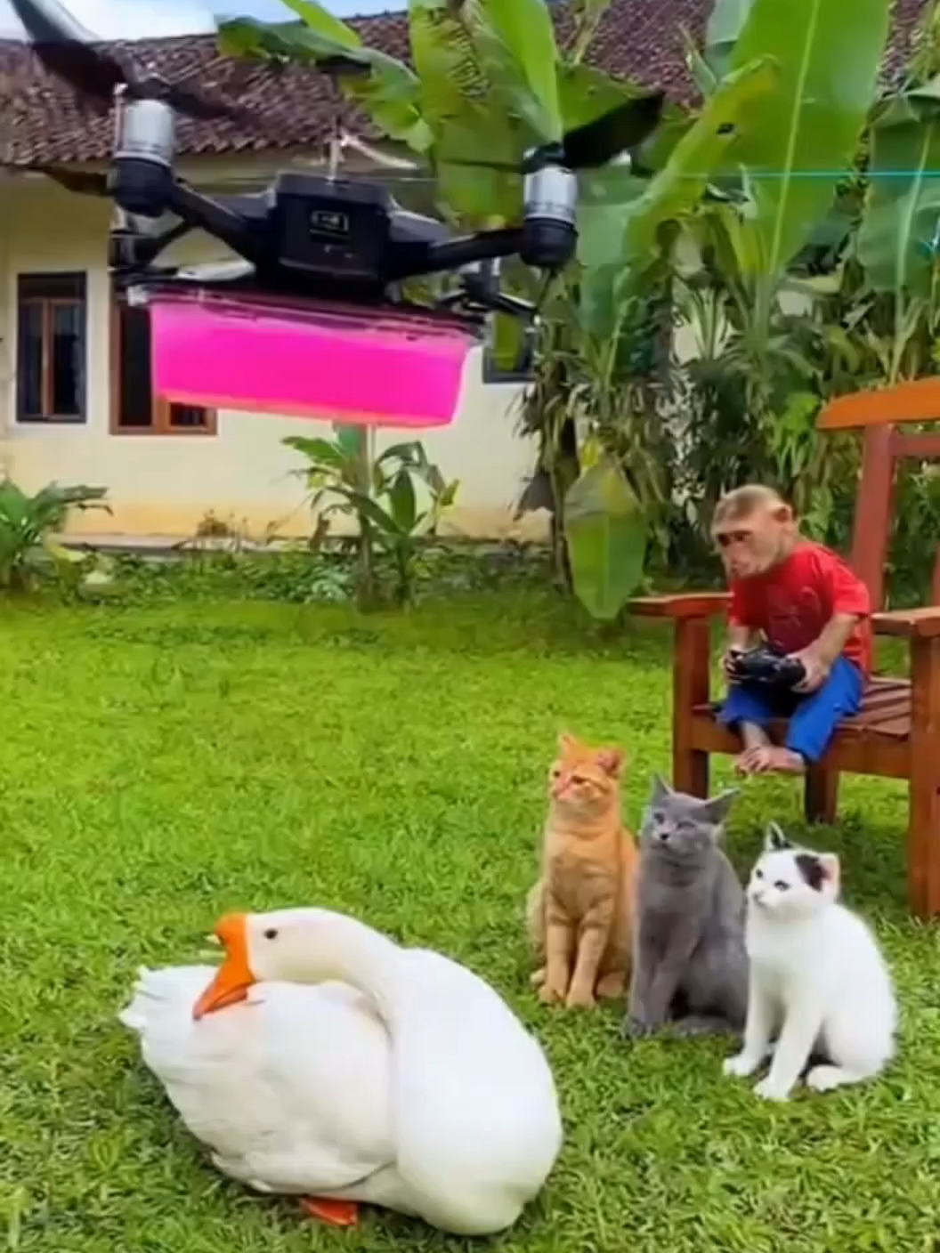 kedua kubu saling menyerang 🤣🤣🤣 Eskalasi konflik meningkat 😹😹🤣  #ai #cat #kucinglucu #sora #fyp #fypindonesia